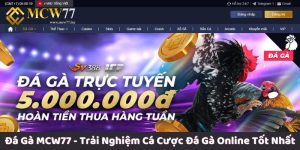 Đá Gà MCW77 - Trải Nghiệm Cá Cược Đá Gà Online Tốt Nhất