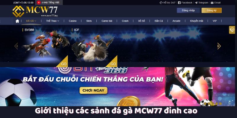 Giới thiệu các sảnh đá gà MCW77 đỉnh cao