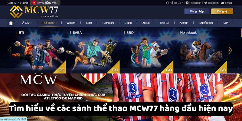 Tìm hiểu về các sảnh thể thao MCW77 hàng đầu hiện nay