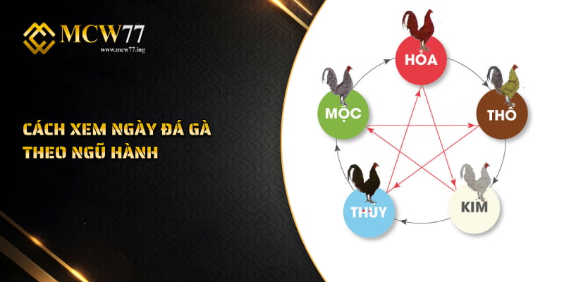 Cách Xem Ngày Đá Gà Theo Ngũ Hành