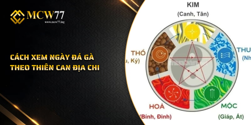 Cách Xem Ngày Đá Gà Theo Thiên Can Địa Chi