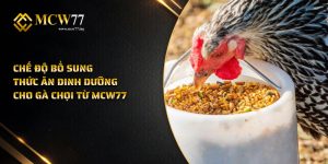 Chế Độ Bổ Sung Thức Ăn Dinh Dưỡng Cho Gà Chọi Từ MCW