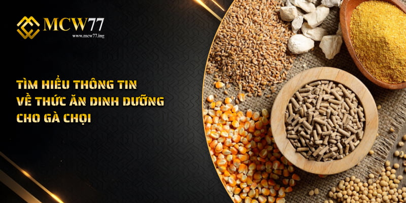 Tìm hiểu thông tin về thức ăn dinh dưỡng cho gà chọi 